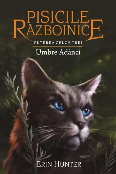 Pisicile Razboinice. Puterea celor trei. vol 17 Umbre Adanci
