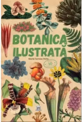 Botanica ilustrata