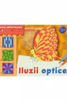 Micul artist plastic. Iluzii optice