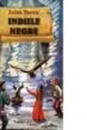 Indiile negre (Jules Verne)