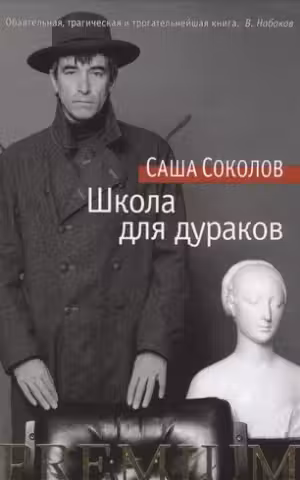 Школа для дураков. Соколов