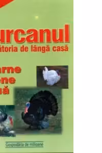 Curcanul - crescatoria de langa casa. Carne, pene si oua