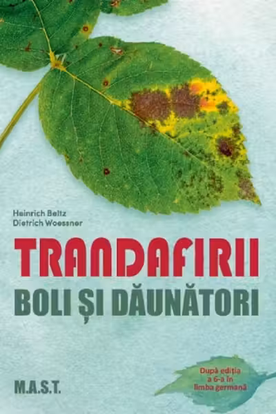 Trandafirii. Boli și dăunători