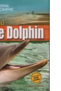 Cupid The Dolphin + DVD