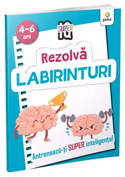 Rezolva labirinturi
