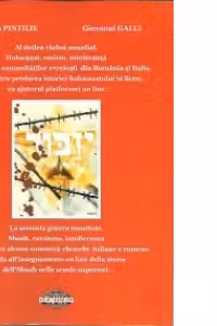 Al doilea razboi mondial. Holocaust, rasism, intoleranta si problema comunitatilor evreiesti din Romania si Italia. Ghid pentru predarea istoriei holocaustului in liceu, cu ajutorul platformei on line