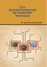 I.T.S. Sisteme Inteligente de Transport: Interstructuri