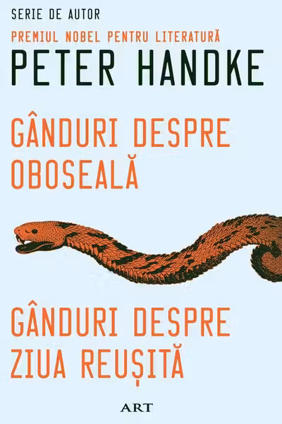 Gânduri despre oboseală. Gânduri despre ziua reușită