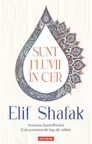 Sunt fluvii în cer