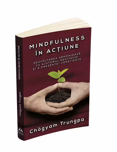 Mindfulness in actiune