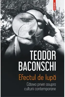 Efectul de lupa. Cateva priviri asupra culturii contemporane