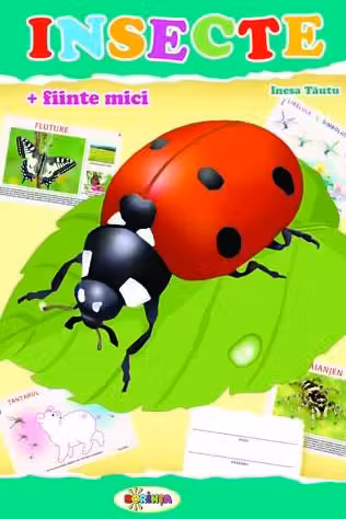 Insecte. Mapa.