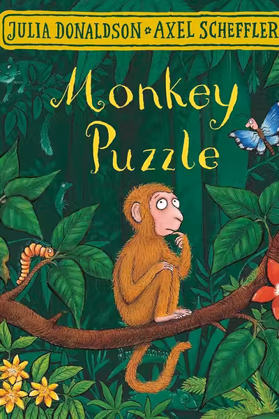 Monkey Puzzle BB