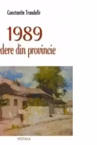1989. Vedere din provincie