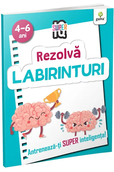 Rezolva labirinturi