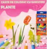 Plante