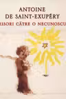 Scrisori catre o necunoscuta