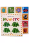 NUMERE. Bebe invata. Minitab