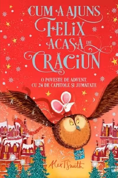 CUM A AJUNS FELIX ACASA DE CRACIUN.