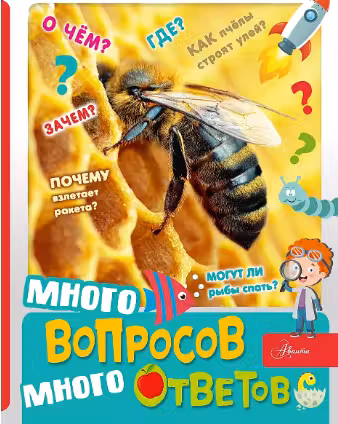 Много вопросов, много ответов