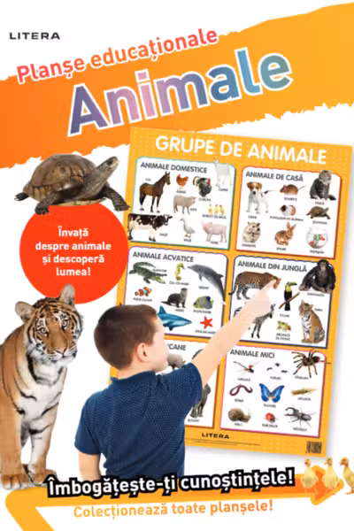 ANIMALE (planse educationale infoliate)