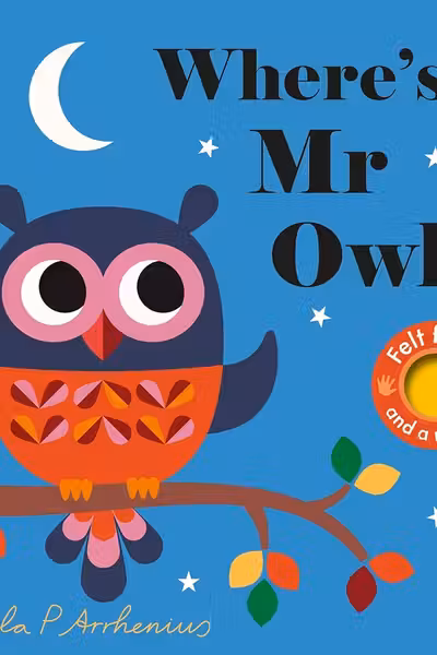 Where's Mr Owl?
