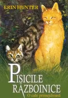 O cale primejdioasa