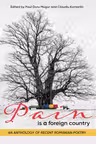 Pain Is a Foreign Country