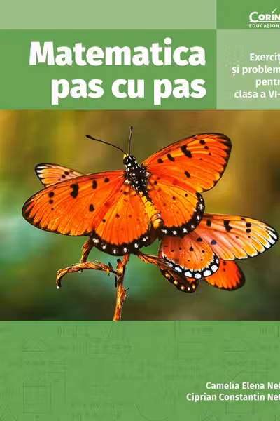 Matematica pas cu pas. Exercitii si probleme pentru clasa a 6-a