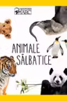 Animale salbatice