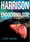 Harrison. Endocrinologie