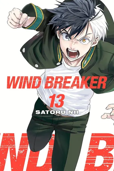 Wind Breaker - Volume 13