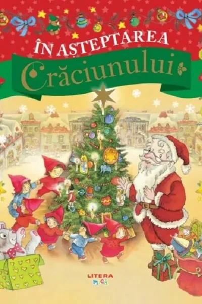 IN ASTEPTAREA CRACIUNULUI
