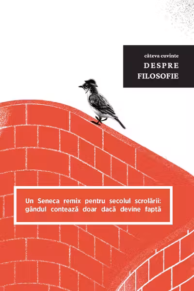 Cateva cuvinte despre Filosofie