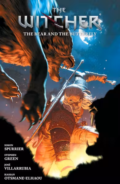The Witcher - Volume 10