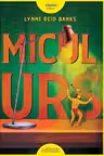 Micul Urs