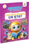 Cum este condus un stat