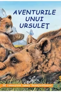 Aventurile unui ursulet