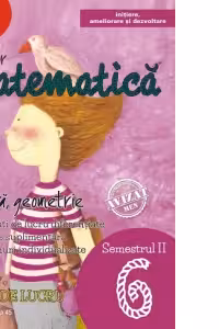 Matematica. Algebra, geometrie. Caiet de lucru. Clasa a VI-a. Semestrul II. Initiere (anul scolar 2017-2018)