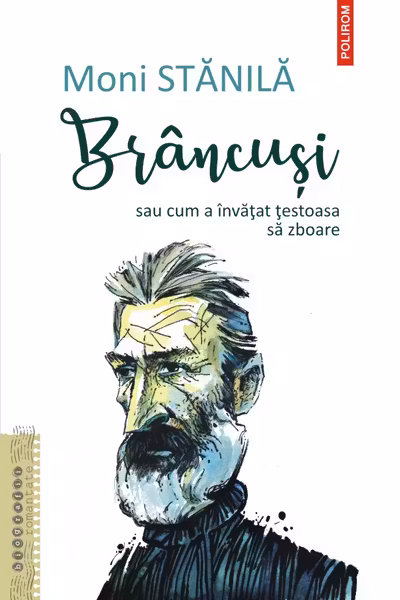 Brancusi sau cum a invatat testoasa sa zboare