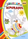 Coloram cu Iepurasul. Jocuri