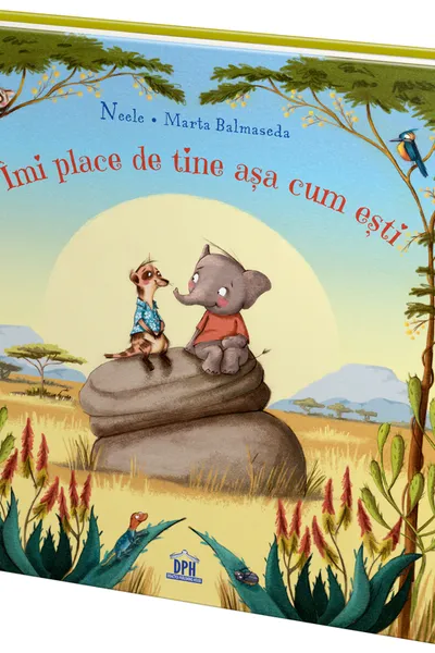 Imi place de tine asa cum esti