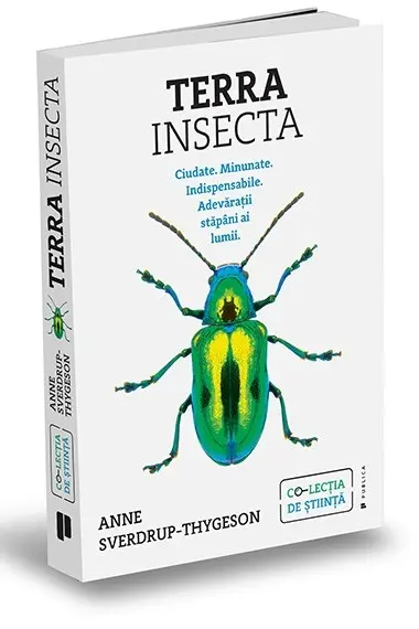 Terra Insecta