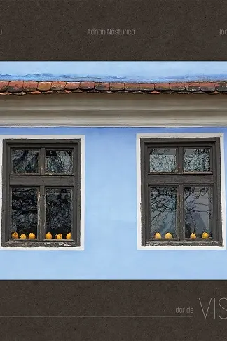 Dor de Viscri
