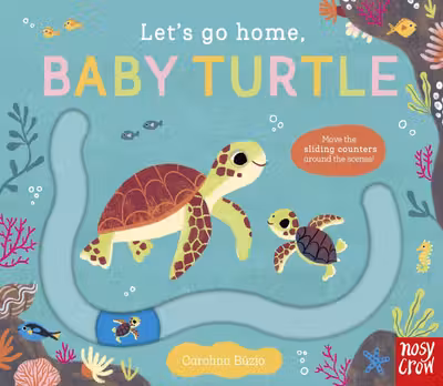 Baby Turtle