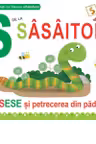 S de la Sasaitor. Necartonata - Greta Cencetti