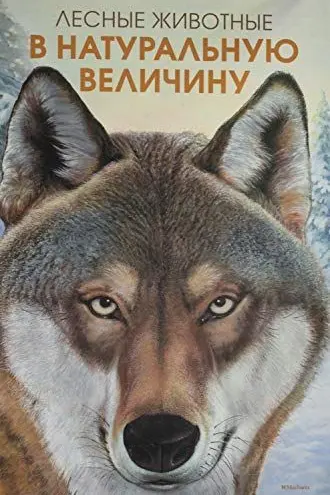 Лесные животные в натуральную величину