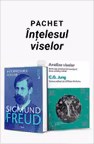 Pachet Înțelesul viselor