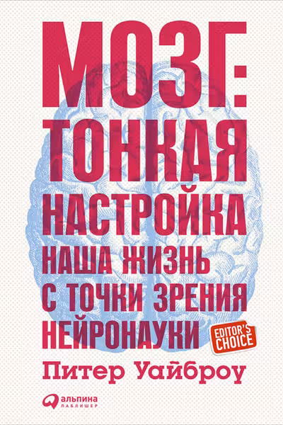 Мозг: Тонкая настройка. Наша жизнь с точки зрения нейронауки