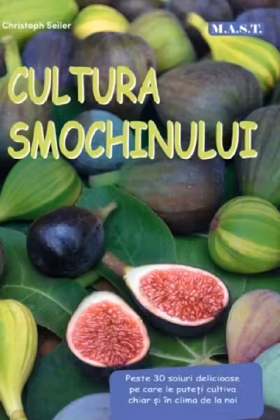 Cultură smochinului